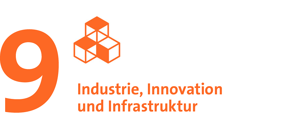 SDG 9: Industrie, Innovation und In­fra­struk­tur.