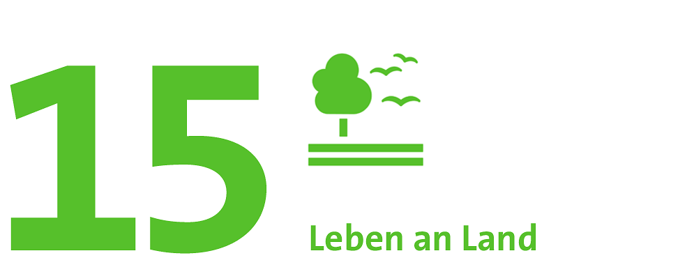SDG 15: Leben an Land.