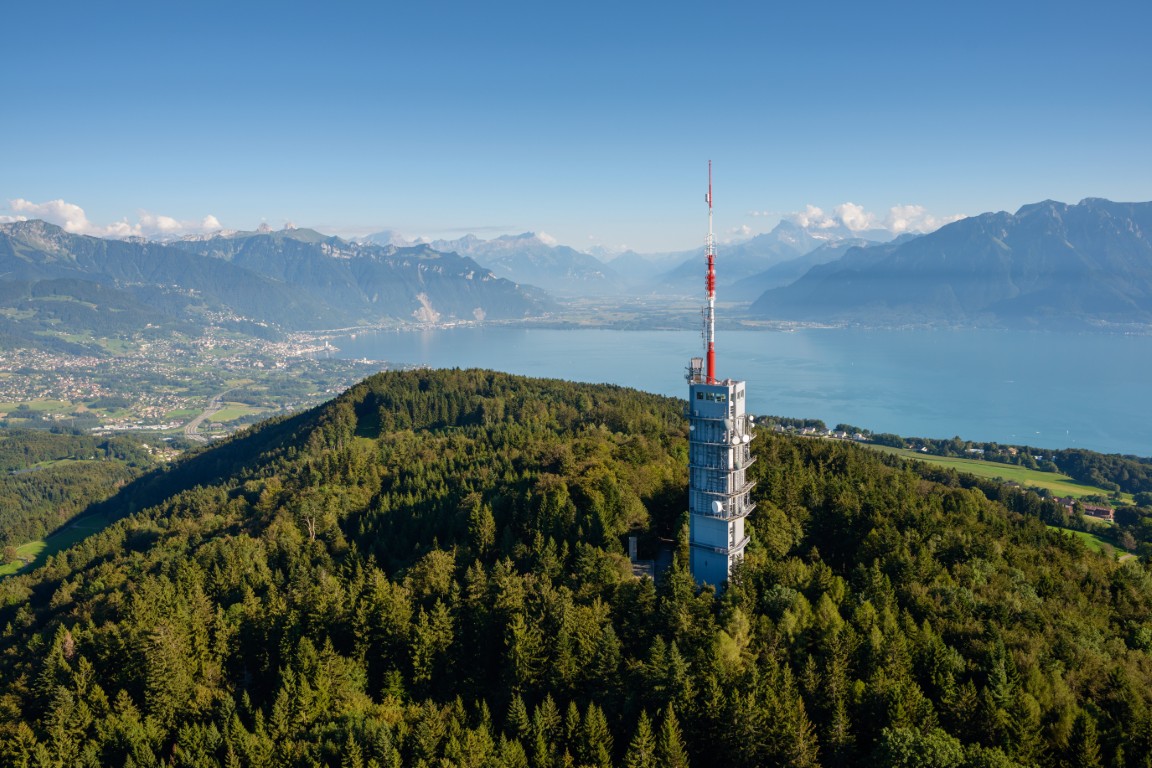 Best networks and services